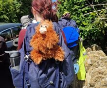 Image 2026 06 23T105518.479